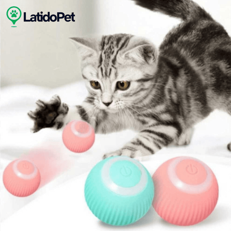 Bola maluca automática para caes e gatos- LatidoPet