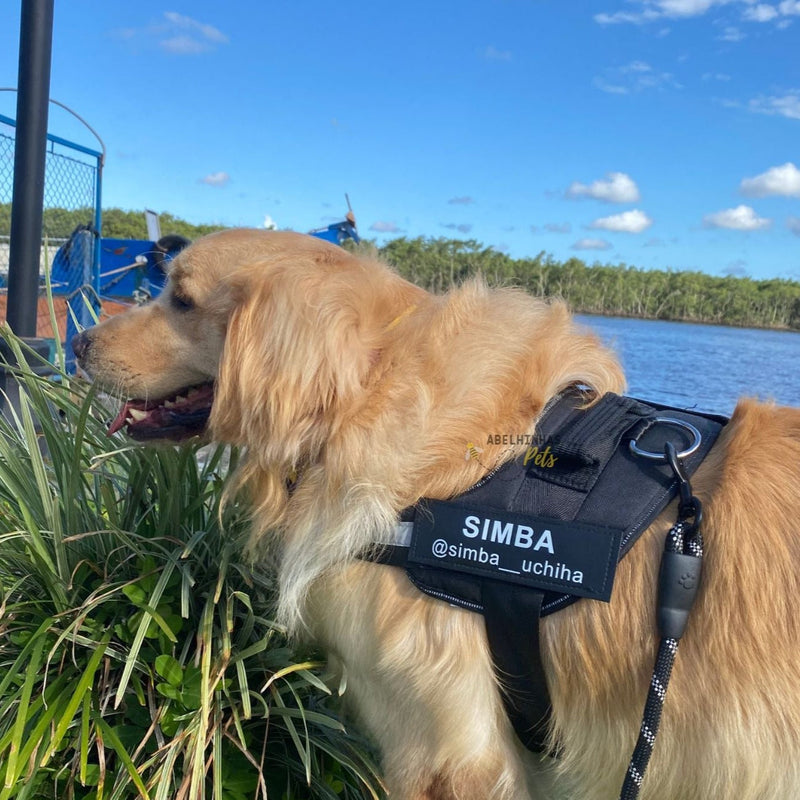 Coleira Peitoral Personalizada com faixa Refletiva para Cães