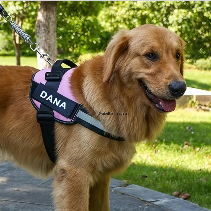 Coleira Peitoral Personalizada com faixa Refletiva para Cães